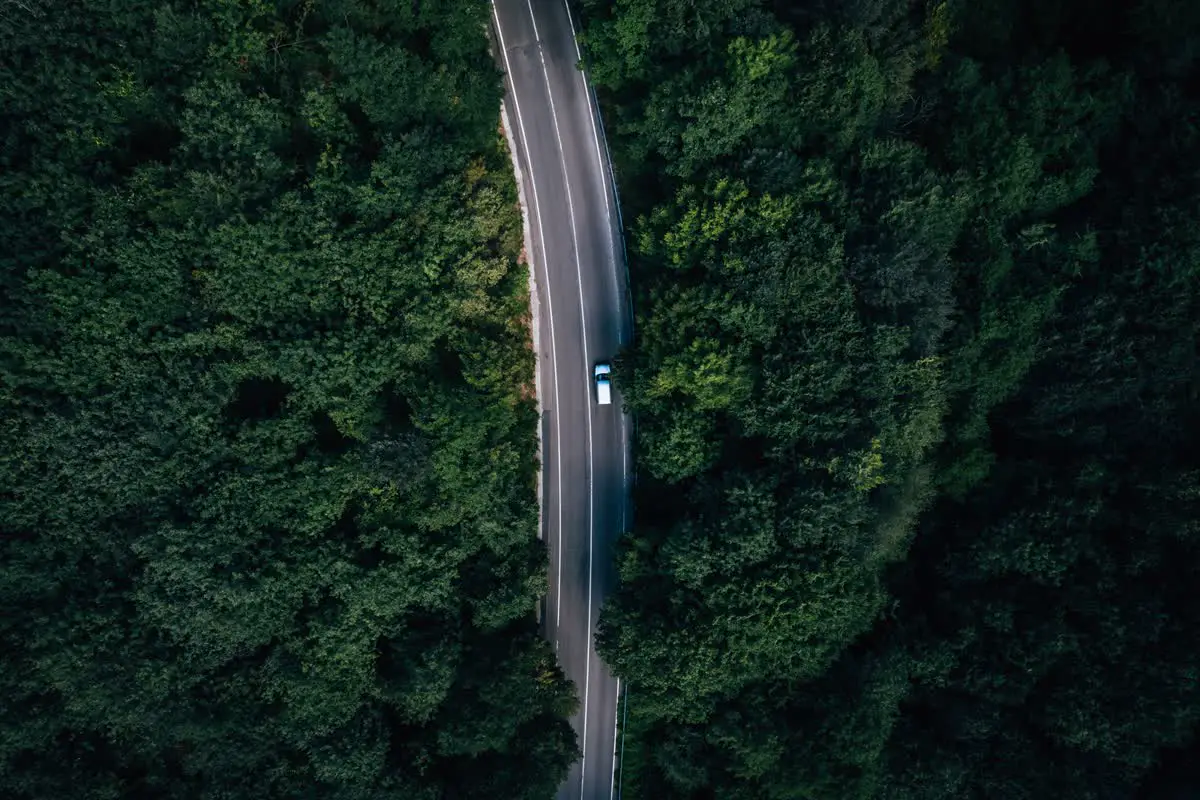 Aerial view of a car on a forest road, framed like a film shot
